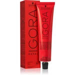 Schwarzkopf Professional IGORA Royal farba na vlasy odtieň 5-6 Light Brown Chocolate 60 ml