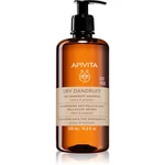 Apivita Dry Dandruff Shampoo šampon proti lupům pro suchou pokožku 500x0 ml