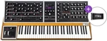 MOOG One - 16 SET