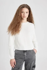 DEFACTO Cool Regular Fit Crew Neck Basic Plain Knitwear Sweater