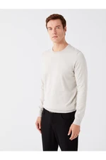 LC Waikiki Crew Neck Long Sleeve Men's Knitwear Sweater