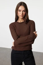 Trendyol Dark Brown Transparent Knitwear Look Fabric Regular Size Crew Neck Knitted Blouse