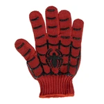 GLOVE BRUSH PETS SPIDERMAN