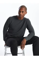 LC Waikiki Crew Neck Long Sleeve Men's Knitwear Sweater