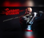 Shadow Warrior PC Steam CD Key