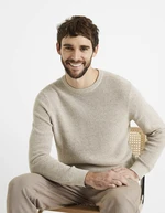 Celio Sweater Degrain - Men