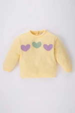 DEFACTO BabyGirl Regular Fit Crew Neck Pullover