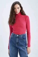 DEFACTO Slim Fit Turtleneck Pullover