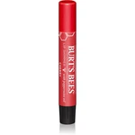 Burt’s Bees Lip Shimmer lesk na pery odtieň Cherry 2.6 g