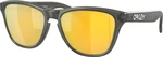 Oakley Frogskins XS 90063753 Matte Grey Smoke/Prizm 24K Polar Ochelari de stil de viață