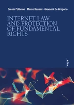 Internet Law and Protection of Fundamental Rights