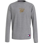 Logo Tommy Hilfiger