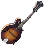 The Loar LM-590 Tobacco Sunburst Mandoline