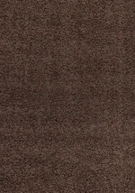 Kusový koberec Dream Shaggy 4000 brown-160x230