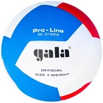 Gala Pro Line 12 Halový volejbal