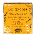 Krém hydratační denní DIEM Vitamín C 60 ml   ANTIPODES