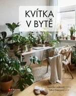 Kvítka v bytě - kolektiv autorů - e-kniha