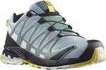 Salomon SALOMON Xa Pro 3D V8 GTX EU 39 ⅓, Zen Blue/White/Gol Dámské trailové boty