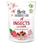 BRIT Care Crunchy Snack Insects with Lamb pamlsky s hmyzem a jehněčím pro psy 200 g