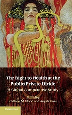 The Right to Health at the Public/Private Divide