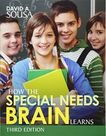 How the Special Needs Brain Learns