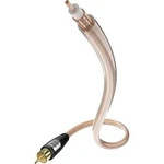 Kabel 1x cinch vidlice ⇒ 1x cinch vidlice, 5 m, průhledný, Inakustik