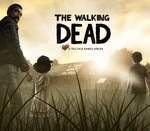 The Walking Dead PC Steam Account