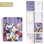 Planer DISNEY 100