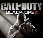 Call of Duty: Black Ops II Steam Altergift