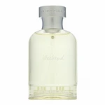 Burberry Weekend for Men woda toaletowa dla mężczyzn 100 ml