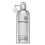 Montale Vanilla Absolu parfémovaná voda pro ženy 100 ml