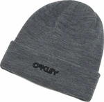 Oakley B1B Logo Beanie New Athletic Grey UNI Čepice