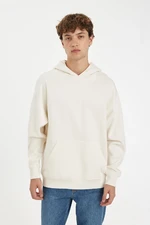 DEFACTO Oversize Fit Hooded Basic Sweatshirt