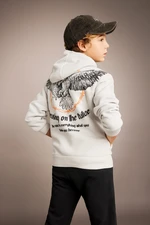 DEFACTO Boy's Printed Hooded Thick Sweatshirt