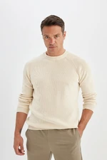 DEFACTO Standard Fit Regular Cut Crew Neck Basic Plain Knitwear Sweater