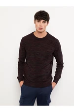 LC Waikiki Crew Neck Long Sleeve Men's Knitwear Sweater