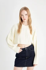 DEFACTO Cool Regular Fit Crop Crew Neck Hair Knitted Sweater