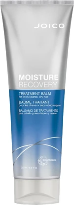 Joico Intenzívny balzam na suché vlasy Moisture Recovery (Treatment Balm) 250 ml