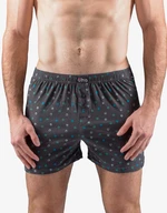 Men's briefs Gino gray