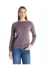 LC Waikiki Crew Neck Self-Patterned Long Sleeve Women's Knitwear Sweater