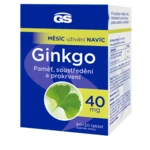 GS Ginkgo 40 mg 90 + 30 tabliet