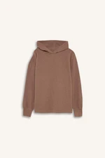 DEFACTO Relax Fit Hooded Casual Basic Plain Sweatshirt