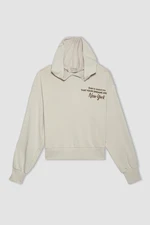 DEFACTO Hooded Hooded Zippered Sweatshirt