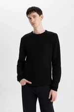 DEFACTO Men's Black Standard Fit Regular Cut Crew Neck Textured Knitwear Sweater