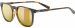 UVEX LGL 49 P Havanna/Mirror Gold Lunettes de vue