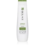 Biolage Strength Recovery šampón pre poškodené vlasy 250 ml