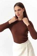 Lafaba Women's Brown Crew Neck Knitwear Sweater