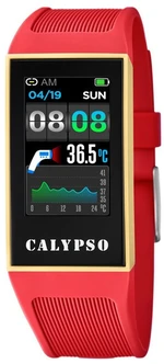 Calypso SmarTime K8502/3