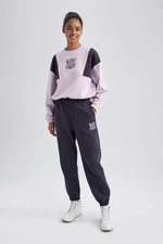 DEFACTO Standard Fit With Pockets Thick Sweatshirt Fabric Pants