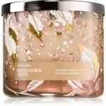 Bath & Body Works Spiced Citrus Grove vonná svíčka 411 g